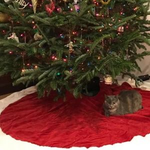 Meet your Posher, Jenn